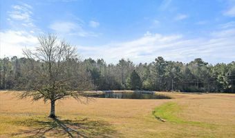 766 Pinola Braxton Rd, Braxton, MS 39044