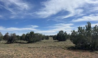 51 W Boiling Pot Rd, Ash Fork, AZ 86320