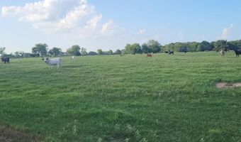 Tbd E Fm 2795, Alba, TX 75410