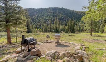 930 County Road 744, Almont, CO 81210