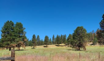 31747 Godowa Springs Rd, Beatty, OR 97621