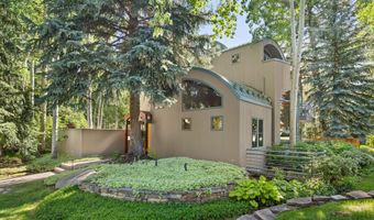 530 W Francis St, Aspen, CO 81611