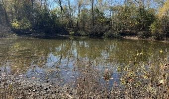 County Road P-309, Alton, MO 65606