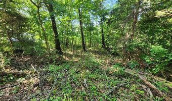 Lot 2 Lyneham LN, Bella Vista, AR 72714