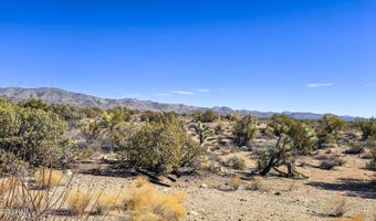 6962 E Black Kettle Dr, Yucca, AZ 86438