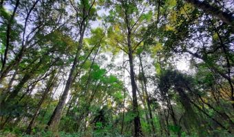 1985 NE 97TH STREED Rd, Anthony, FL 32617