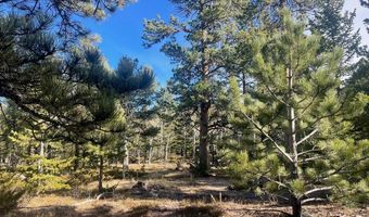 399 N Skinner Rd, Allenspark, CO 80510