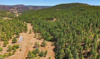 17775 County Road 51, Boncarbo, CO 81024
