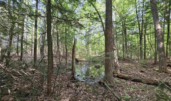 Province Road lot 26, Belmont, NH 03220