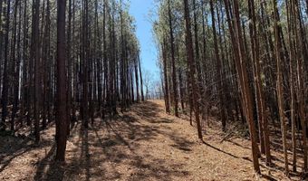 MOUNTAIN CUT RD lot C, Appomattox, VA 24522