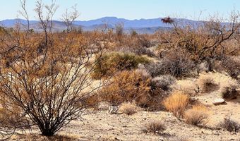 Lot 166 Lake Havasu Acres, Yucca, AZ 86438