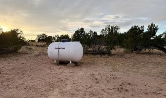 10 CR N 7341, Chambers, AZ 86502
