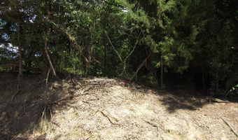 Eudon Best Rd, Ashford, AL 36312