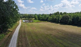 0000 Mifflin Rd, Beech Bluff, TN 38301