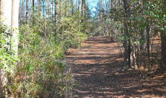 707 Mt Ebal Rd, Batesburg, SC 29006
