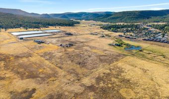 216 CR 2311, Alpine, AZ 85920