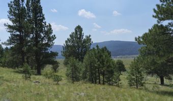 9 Buckskin Rd, Angel Fire, NM 87710