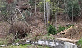522 Deyton Rd, Bakersville, NC 28705