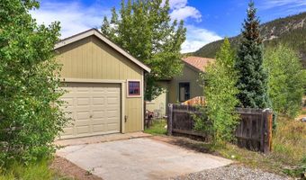 1155 COUNTY ROAD 6, Alma, CO 80420