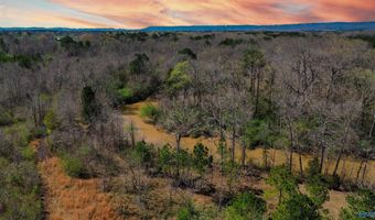 0 Hwy 23, Ashville, AL 35953