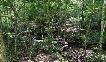 Kaw Court, Annapolis, MO 63620