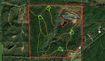 Hwy 9, Bruce, MS 38915