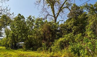 111 11th St, Apalachicola, FL 32320