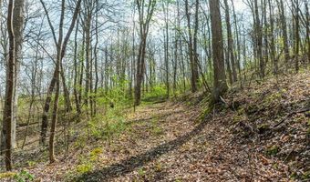 E Captina Highway Road, Alledonia, OH 43902