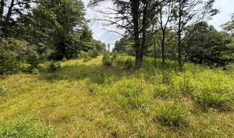 Hall Hollow Road, Austinville, VA 24312