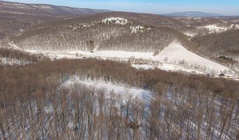 1409 Dunkard Hollow Rd, Alum Bank, PA 15521