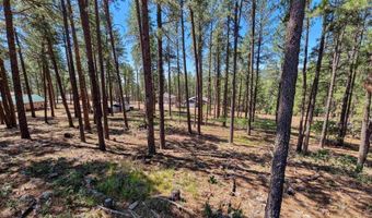 79 Spruce Way, Bayfield, CO 81122