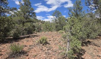 444 445 S Arizona Rd, Ash Fork, AZ 86320