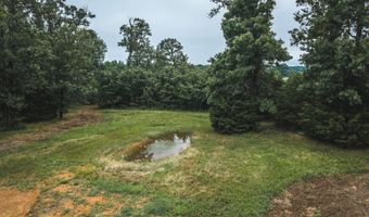 1569 Spider K Rd, Anderson, MO 64831