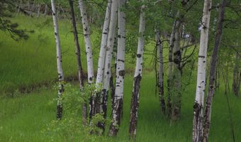 TBD Old Flowers Road, Bellvue, CO 80512