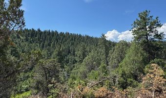 TBD-2 Vine Mesa Ave, Beulah, CO 81023