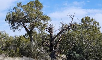 644 Cortez Ranch Rd, Ash Fork, AZ 86320