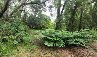 11520 SW 143RD St, Archer, FL 32618