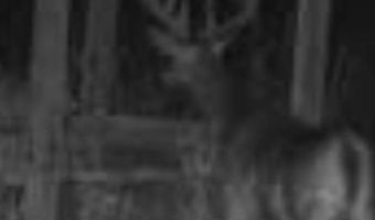 001 CR 532, Avalon, MS 38917
