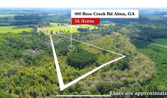 Rose Creek Dr, Alma, GA 31510