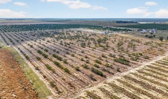 ALTURAS BABSON PARK CUTOFF, Bartow, FL 33830