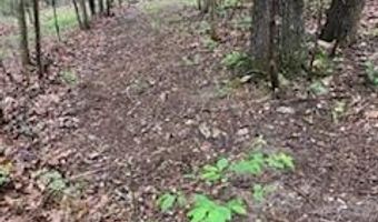 7011 County Road 429, Ava, MO 65608