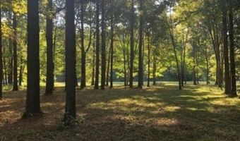 13 Cypress Point Dr, Akron, AL 35441