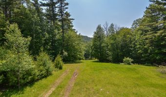 54 Deer Valley Rd, Bradford, NH 03221