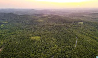 200 TABLEE LANE Lot 17.65, Ashland, AL 36251