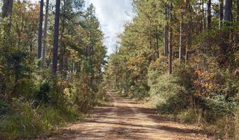 0 Progress Road Rd, Beaumont, MS 39423