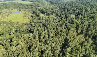 Swamp Road, Beech Island, SC 29842