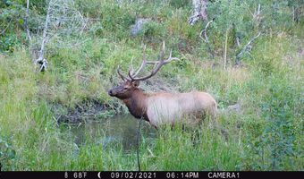 TBD Old Flowers Road, Bellvue, CO 80512