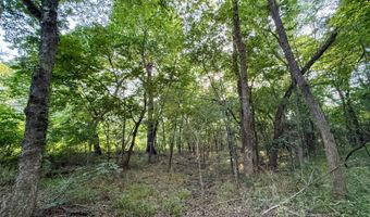Tract 8 Highway 70, Bennington, OK 74723