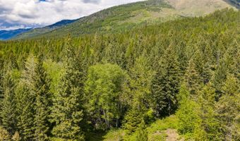 Nhn Red Hawk Drive, Bigfork, MT 59911