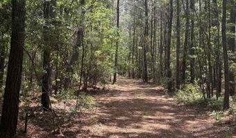 452 Tram Rd, Cades, SC 29518